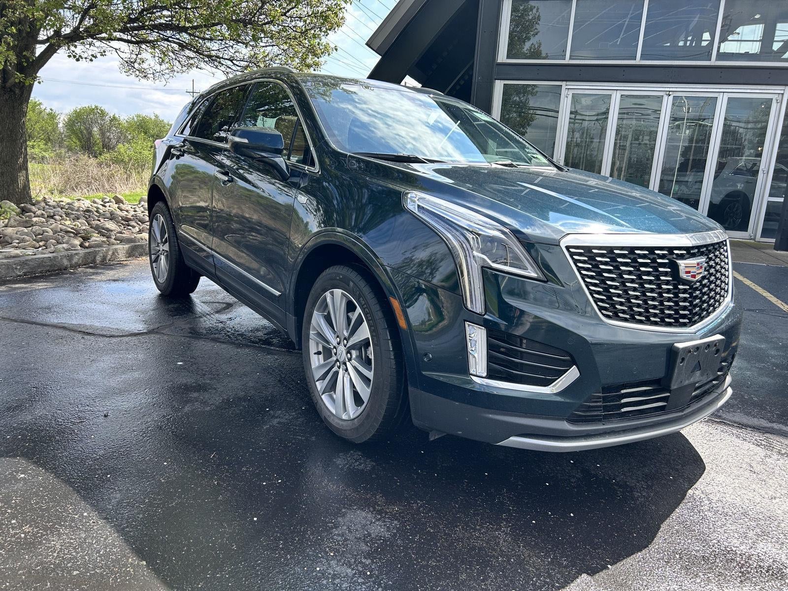 2024 Cadillac XT5 AWD Premium Luxury's photo