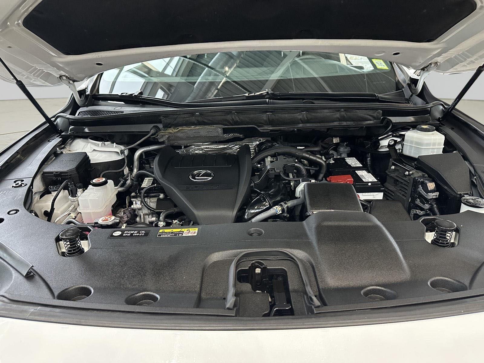 2023 Lexus RX RX 350